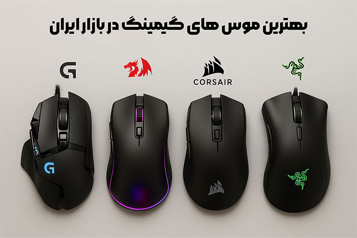 Best-mouse