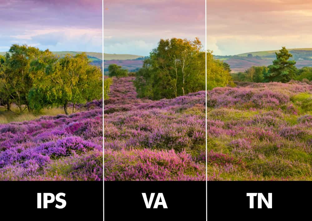 TN-vs-IPS-vs-VA-Panels