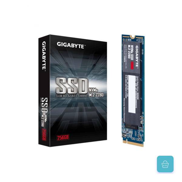 سبد 10 عددی اس اس دی اینترنال گیگابایت مدل GIGABYTE GP-GSM2NE3256GNTD 256GB سبد 10 عددی اس اس دی اینترنال گیگابایت مدل GIGABYTE GP-GSM2NE3256GNTD 256GB