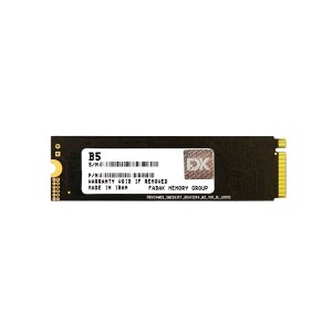 اس اس دی اینترنال اف دی کی مدل FDK M.2 B5 512GB