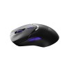 ماوس گیمینگ بی سیم رپو مدل RAPOO VT9 PRO 4K ماوس گیمینگ بی سیم رپو مدل RAPOO VT9 PRO 4K