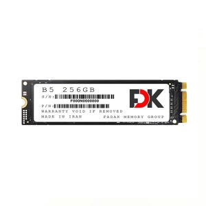 اس اس دی اف دی کی مدل FDK M.2 B5 256GB