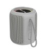 اسپیکر قابل حمل تازاتا مدل TAZATA PALM 100 GREY