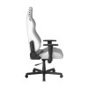 صندلی گیمینگ دی ایکس ریسر مدل DXRacer Drifting Series 2025 L White Black