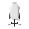 صندلی گیمینگ دی ایکس ریسر مدل DXRacer Drifting Series 2025 L White Black