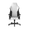 صندلی گیمینگ دی ایکس ریسر مدل DXRacer Drifting Series 2025 L Winter White Black