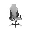 صندلی گیمینگ دی ایکس ریسر مدل DXRacer Drifting Series 2025 L Winter White Black