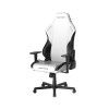 صندلی گیمینگ دی ایکس ریسر مدل DXRacer Drifting Series 2025 L Winter White Black