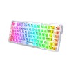 کیبورد بی سیم/باسیم گیمینگ ردراگون مدل Redragon ELF PRO K649 CT RGB